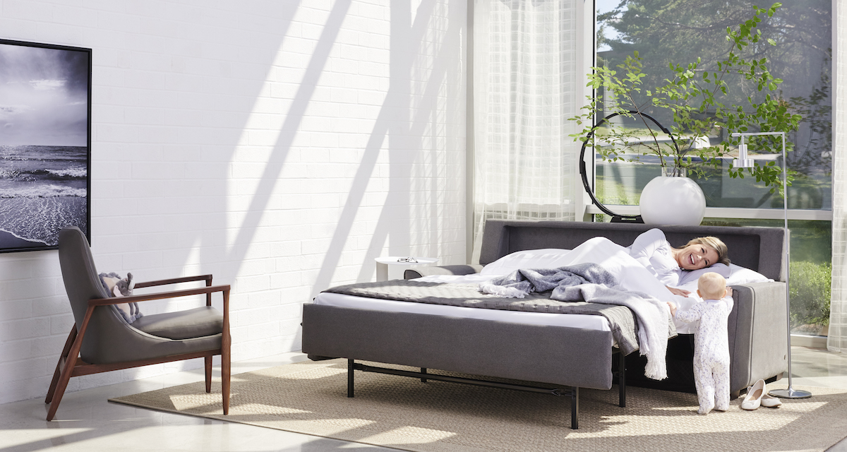 sleeper sofas in vancouver WA