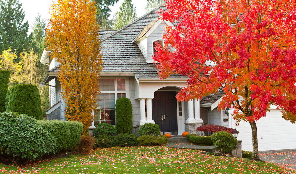 tips-to-get-your-vancouver--home-ready-for-fall