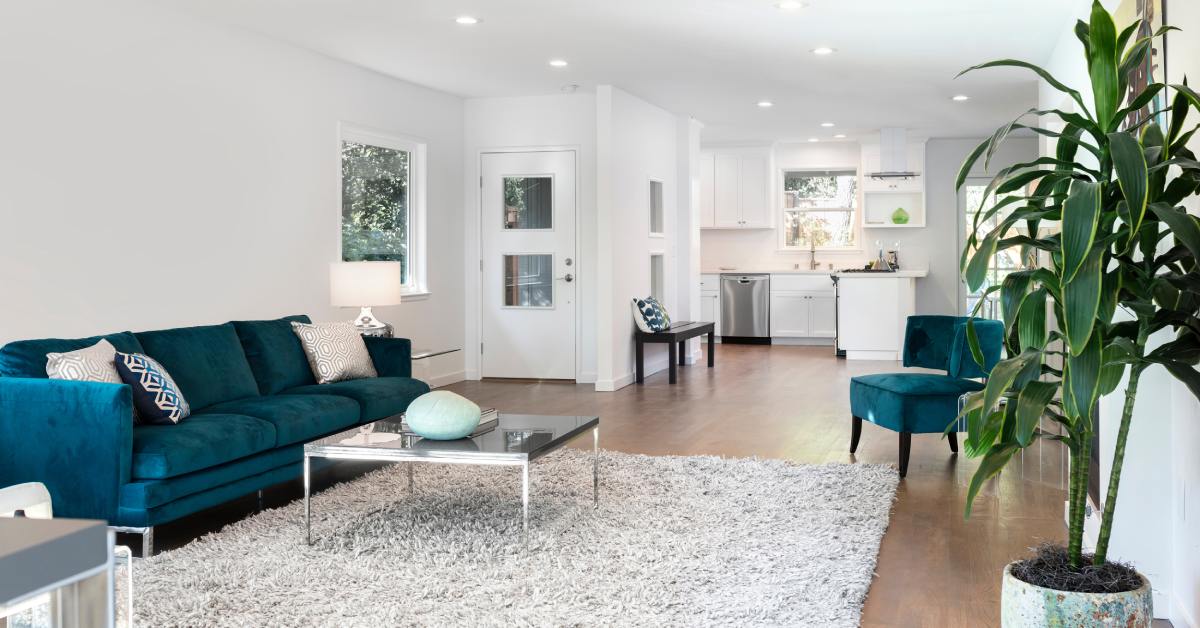 A white living room with a large area rug, two blue couches, a metal coffee table, a large plant, and wooden floors.